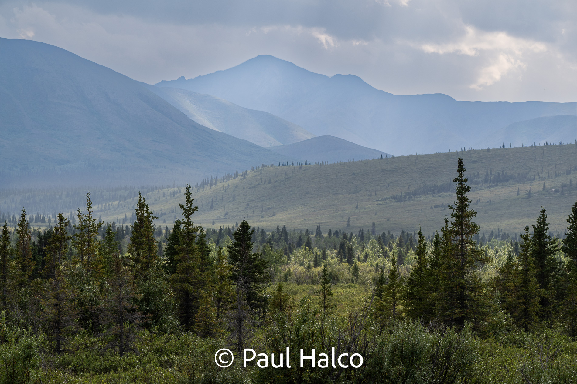 Paul Halco - Denali NP-3